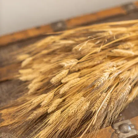 Station touristique Is Perdas Rural Retreat &