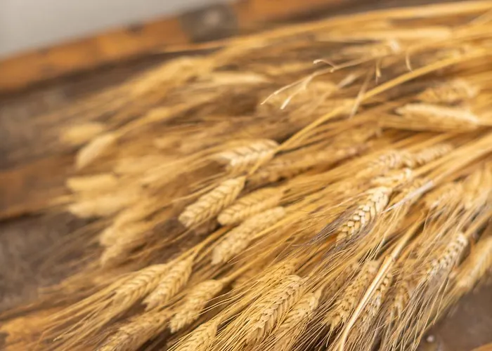 Semesteranläggning (resort) Is Perdas Rural Retreat &